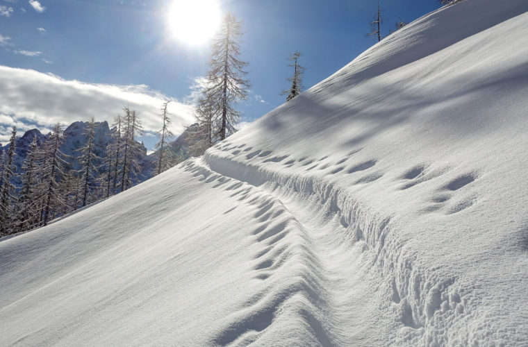 Skitour sci alpinismo 2020 - Alpinschule Drei Zinnen (14)