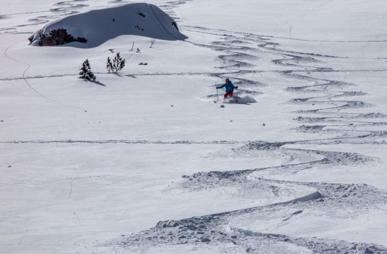 Skitour - sci d'alpinismo Dolomites 2020 - Alpinschule Drei Zinnen (2)