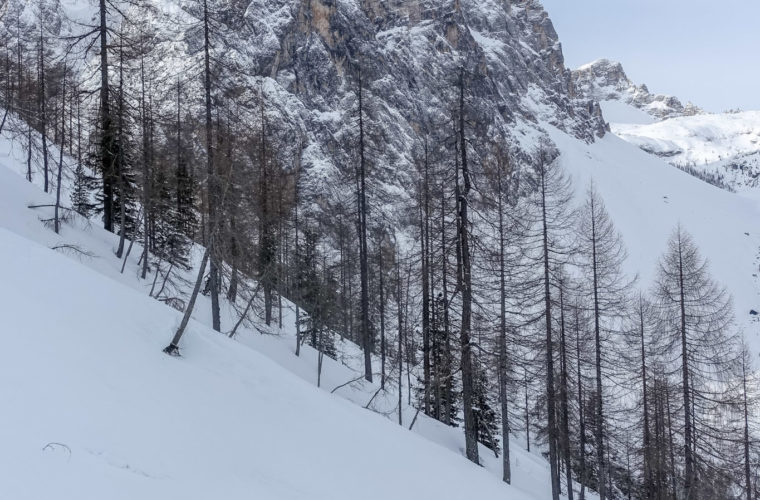Skitour Sexten - sci alpinismo Sesto 2020 - Alpinschule Sexten (16)