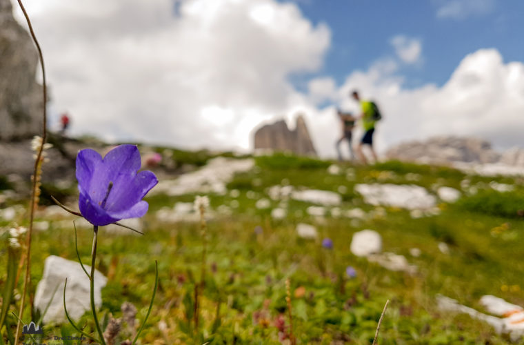 Wandern - camminate - hiking Alpinschule Drei Zinnen Tre Cime-10