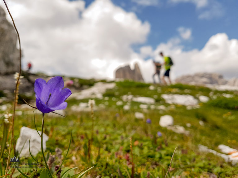 Hiking, Tre Cime di Lavaredo, Drei Zinnen, Tre Cime, Dolomiten, Dolomiti, Dolomites, mountain guides, tour operator