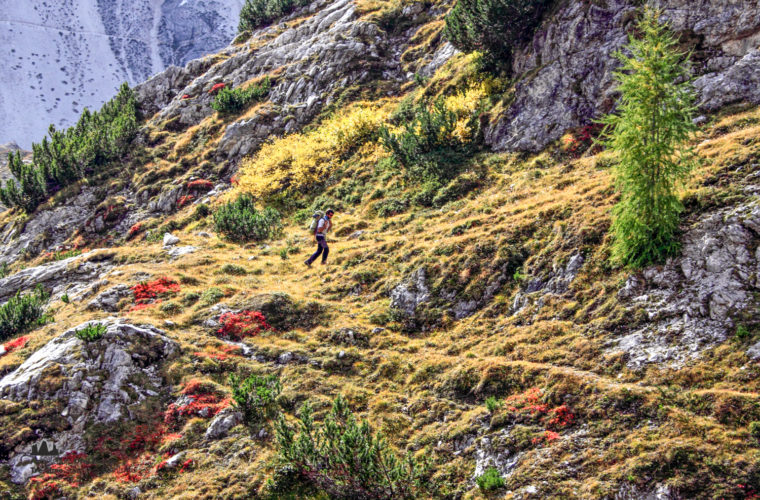 Wandern - camminate - hiking Alpinschule Drei Zinnen Tre Cime-2