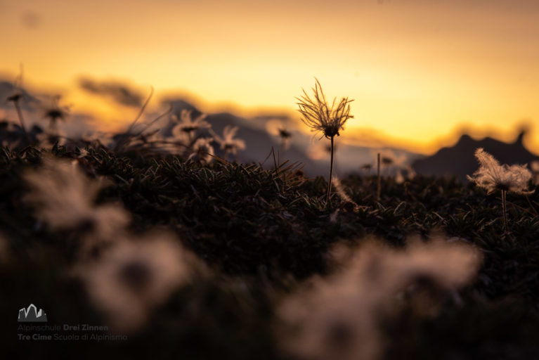 Scuola di alpinismo Sesto Tre Cime - Dolomiti - camminate