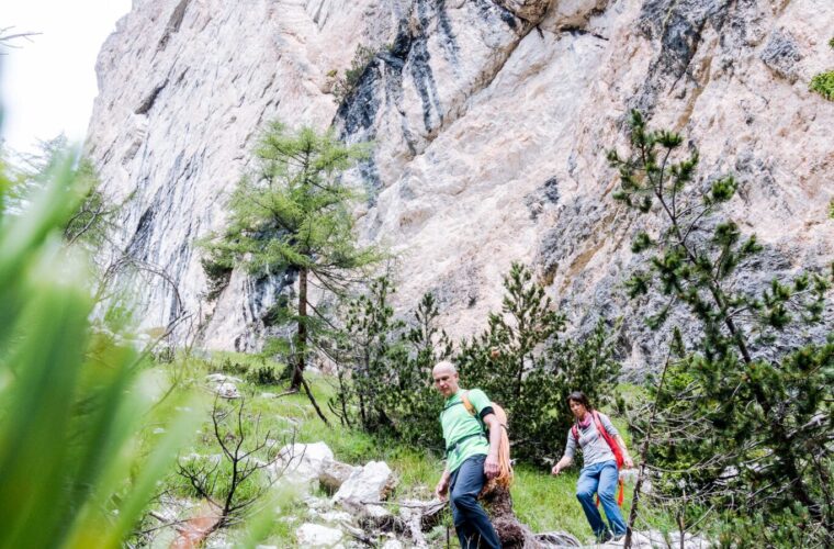 Palfrader - Alpinschule Drei Zinnen (12)